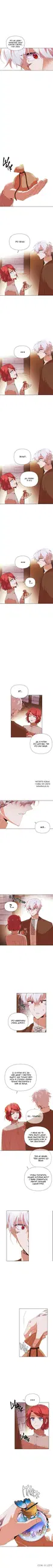 Page 3.000