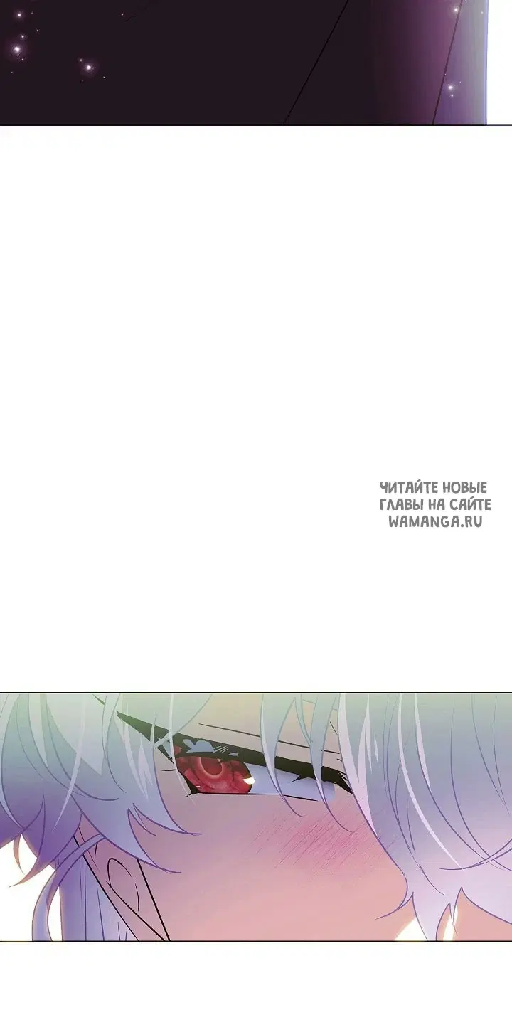 Page 48.000