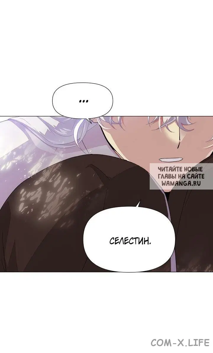 Page 48.000