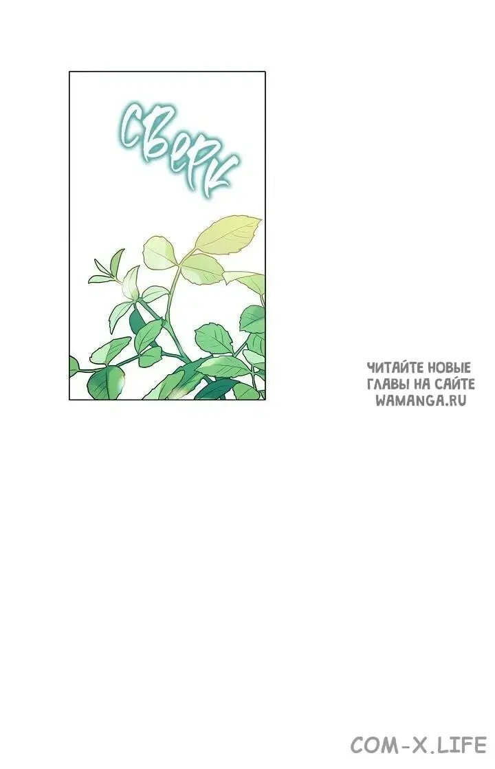 Page 40.000