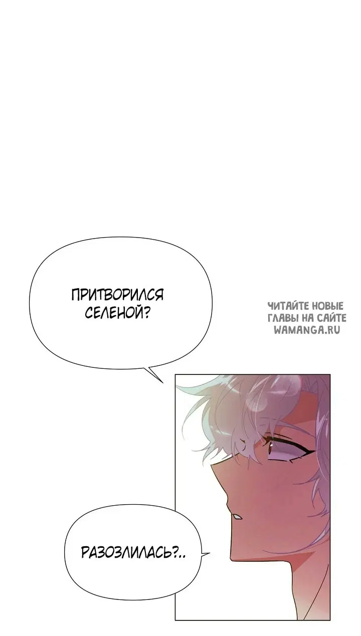 Page 40.000
