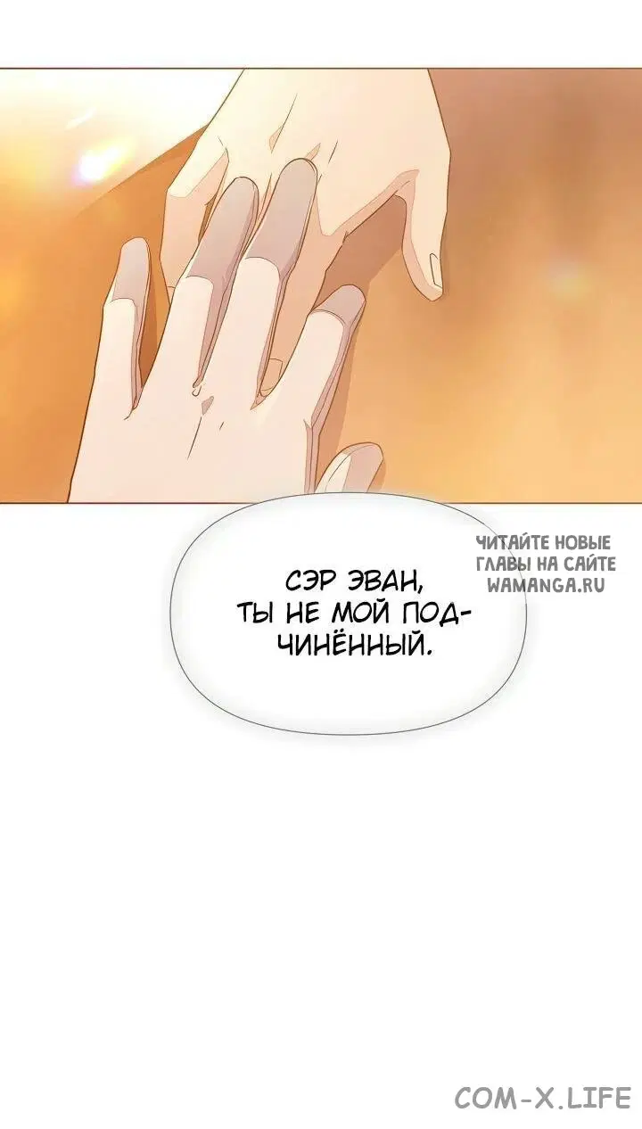 Page 41.000