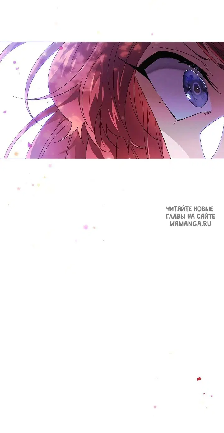 Page 41.000