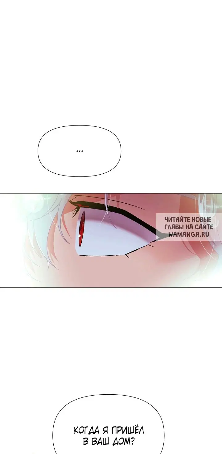 Page 41.000