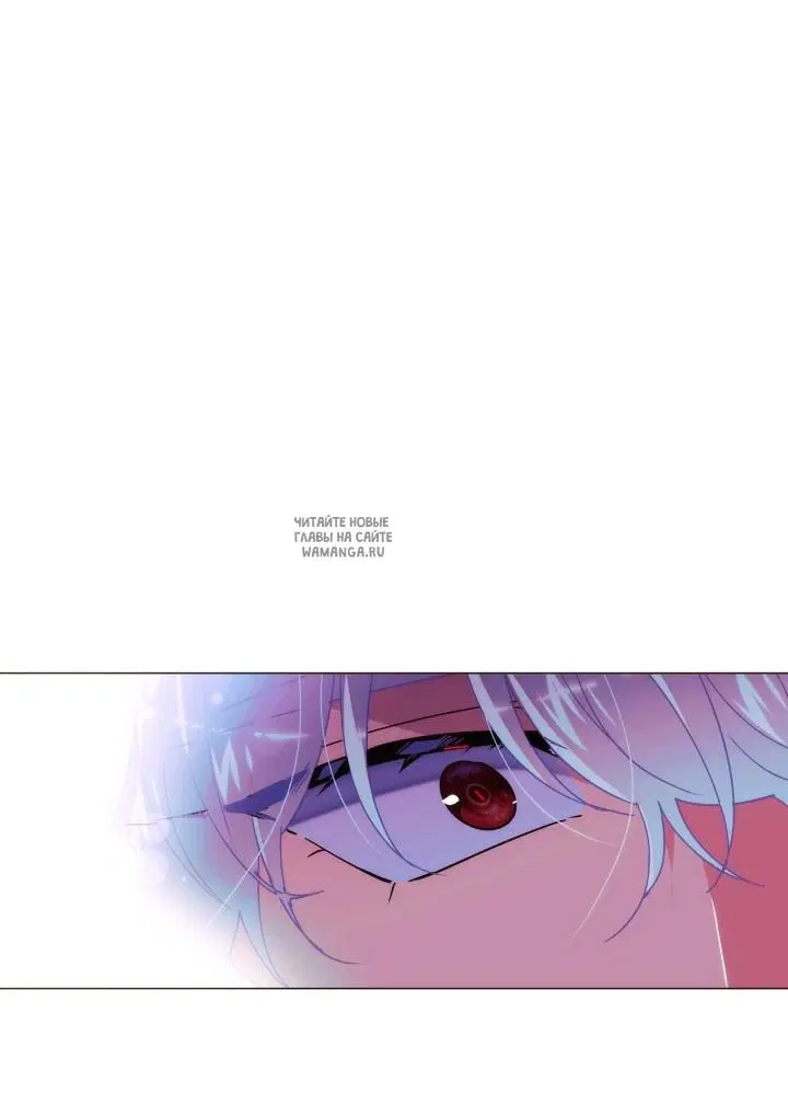 Page 41.000