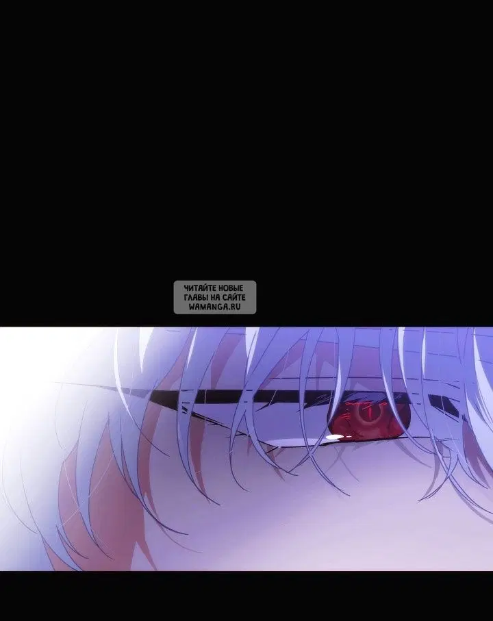 Page 41.000