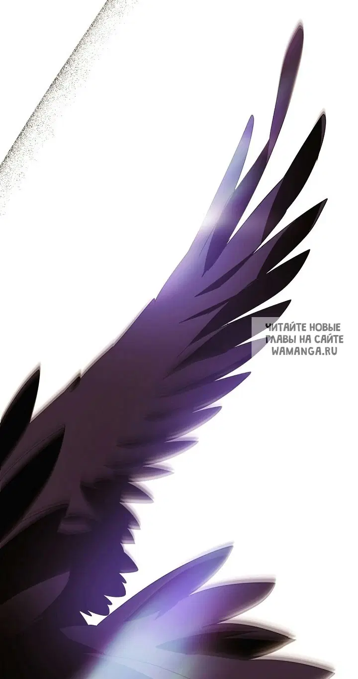 Page 42.000
