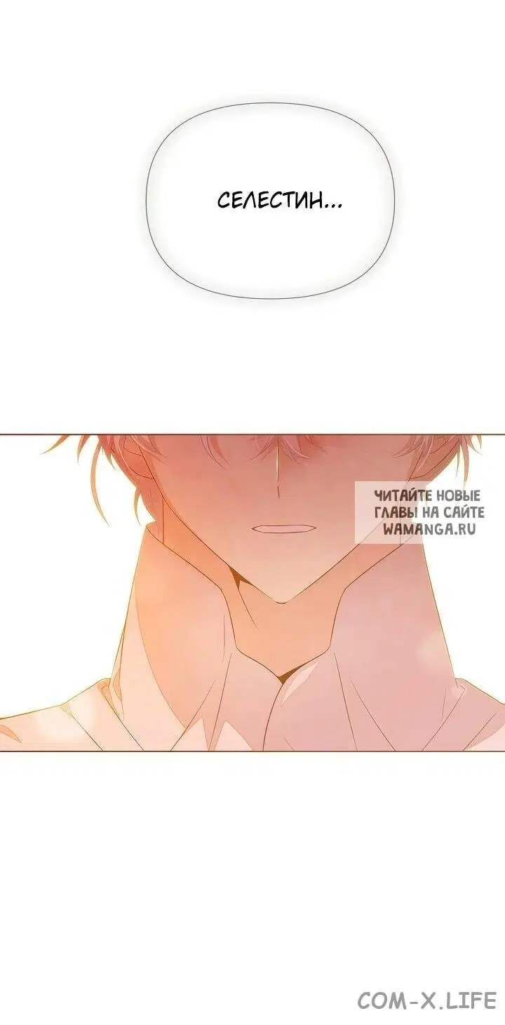 Page 43.000