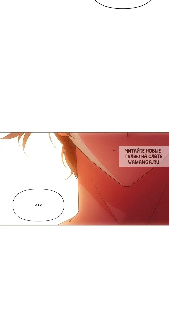 Page 43.000