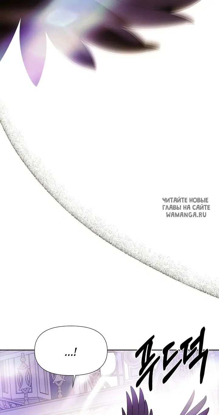 Page 43.000
