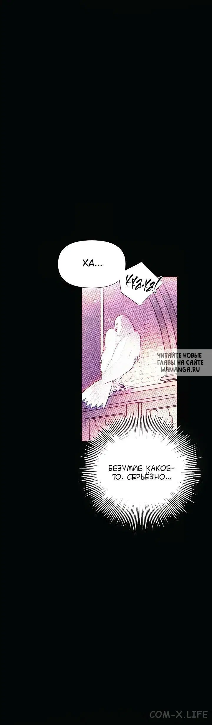 Page 55.000