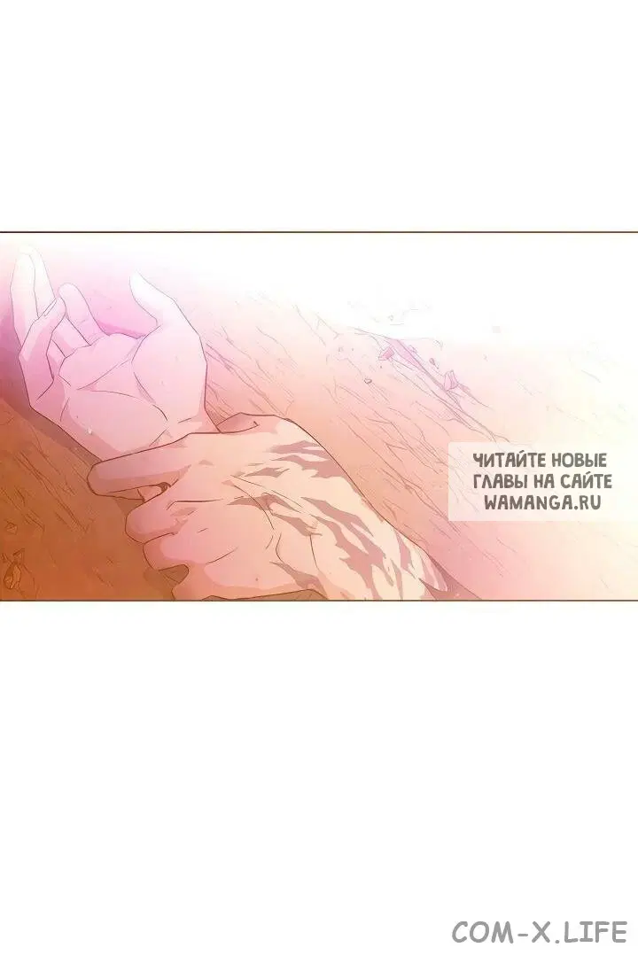 Page 55.000