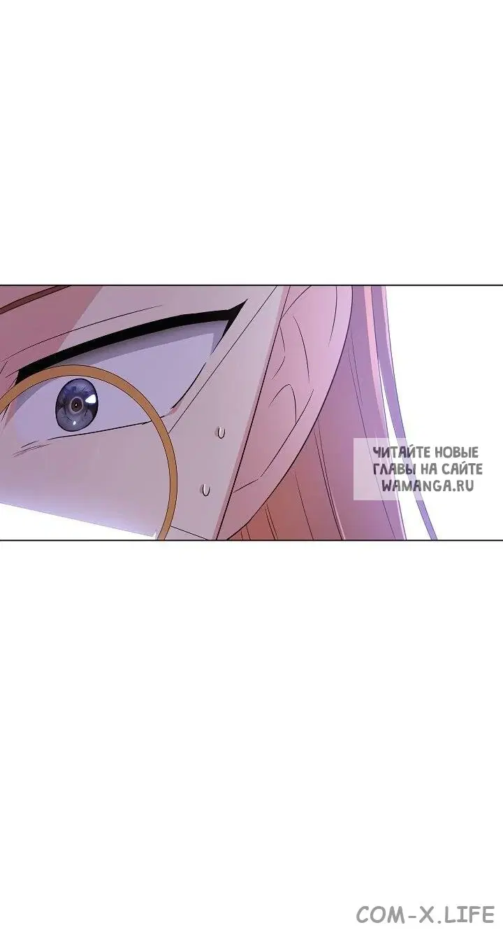 Page 50.000