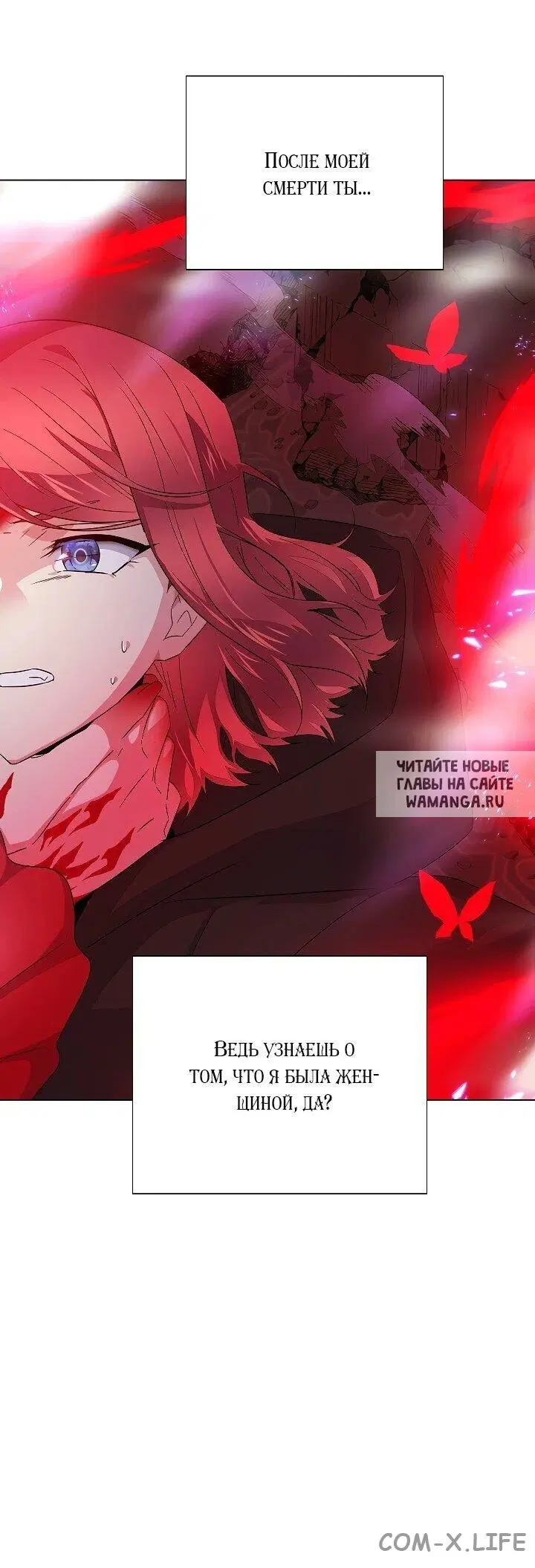 Page 50.000