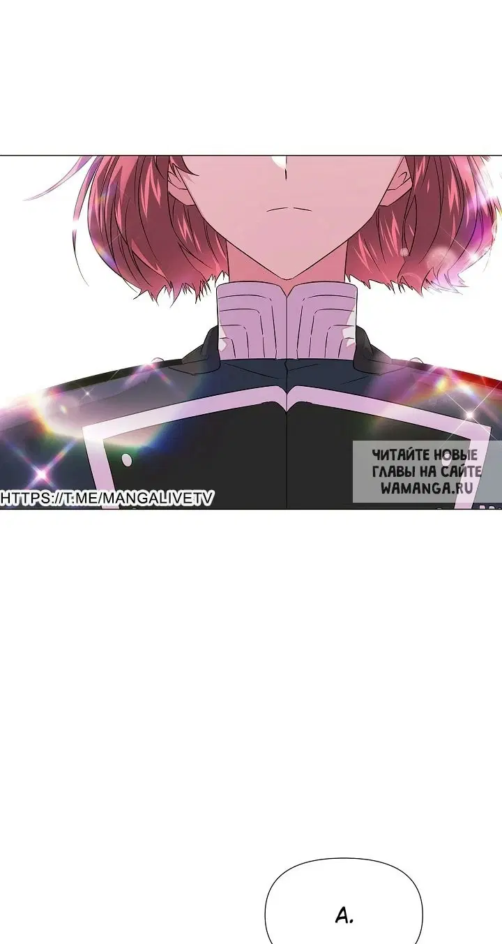 Page 50.000