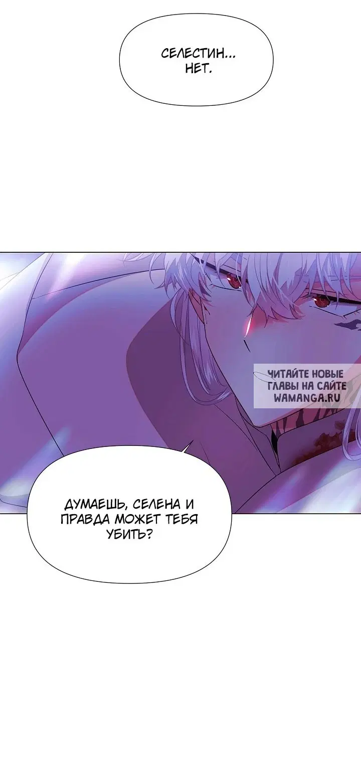 Page 50.000