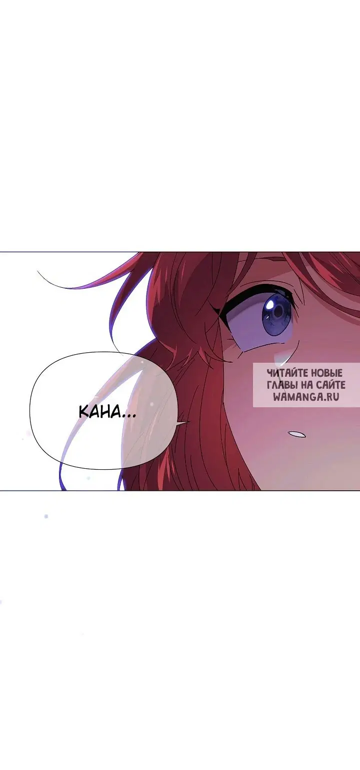 Page 50.000