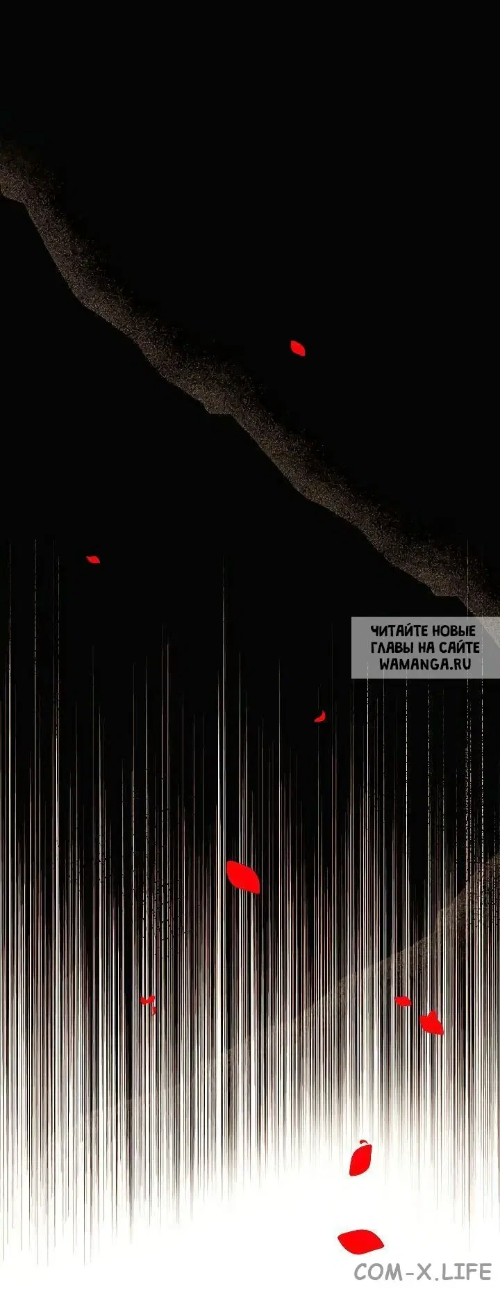Page 50.000