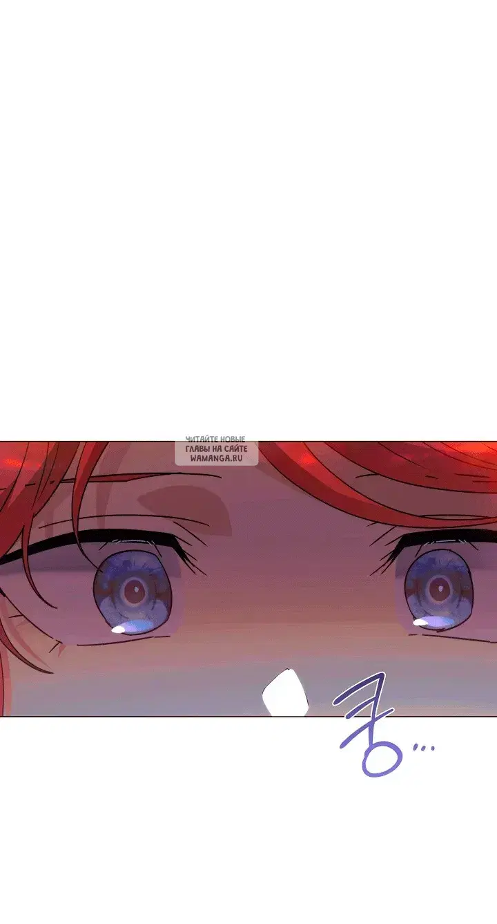 Page 50.000