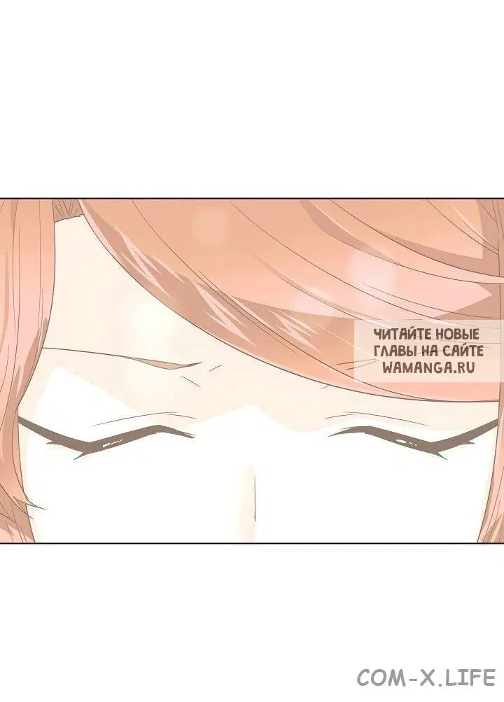 Page 51.000