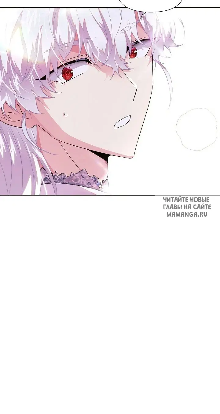 Page 51.000