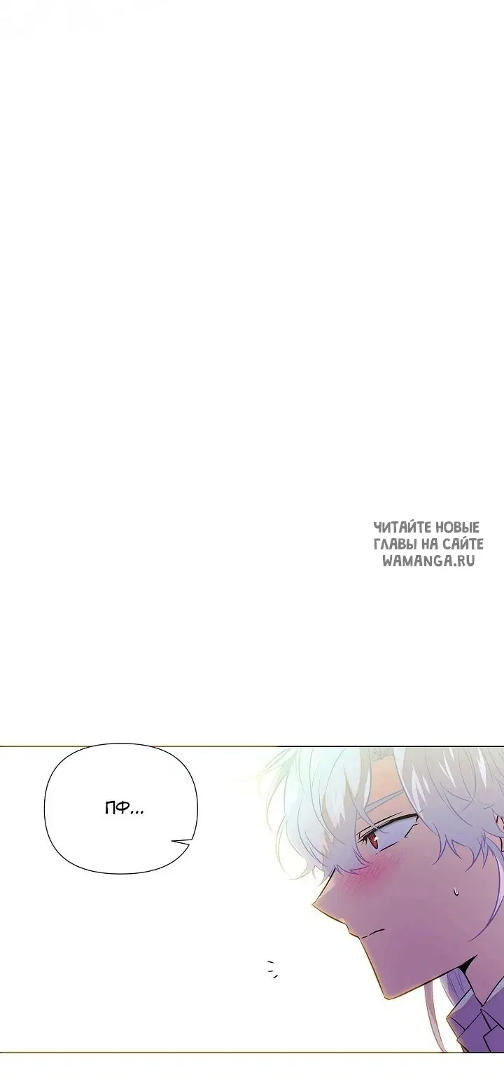 Page 51.000
