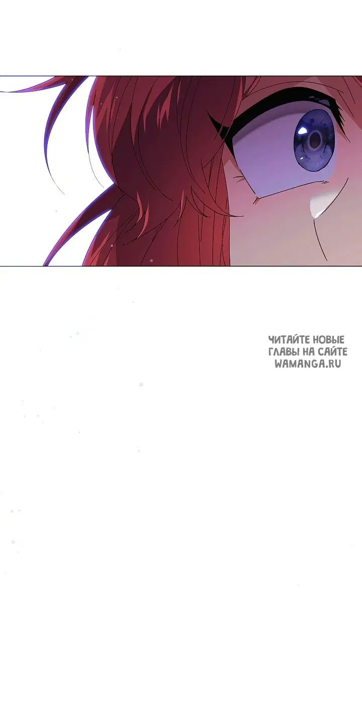 Page 51.000