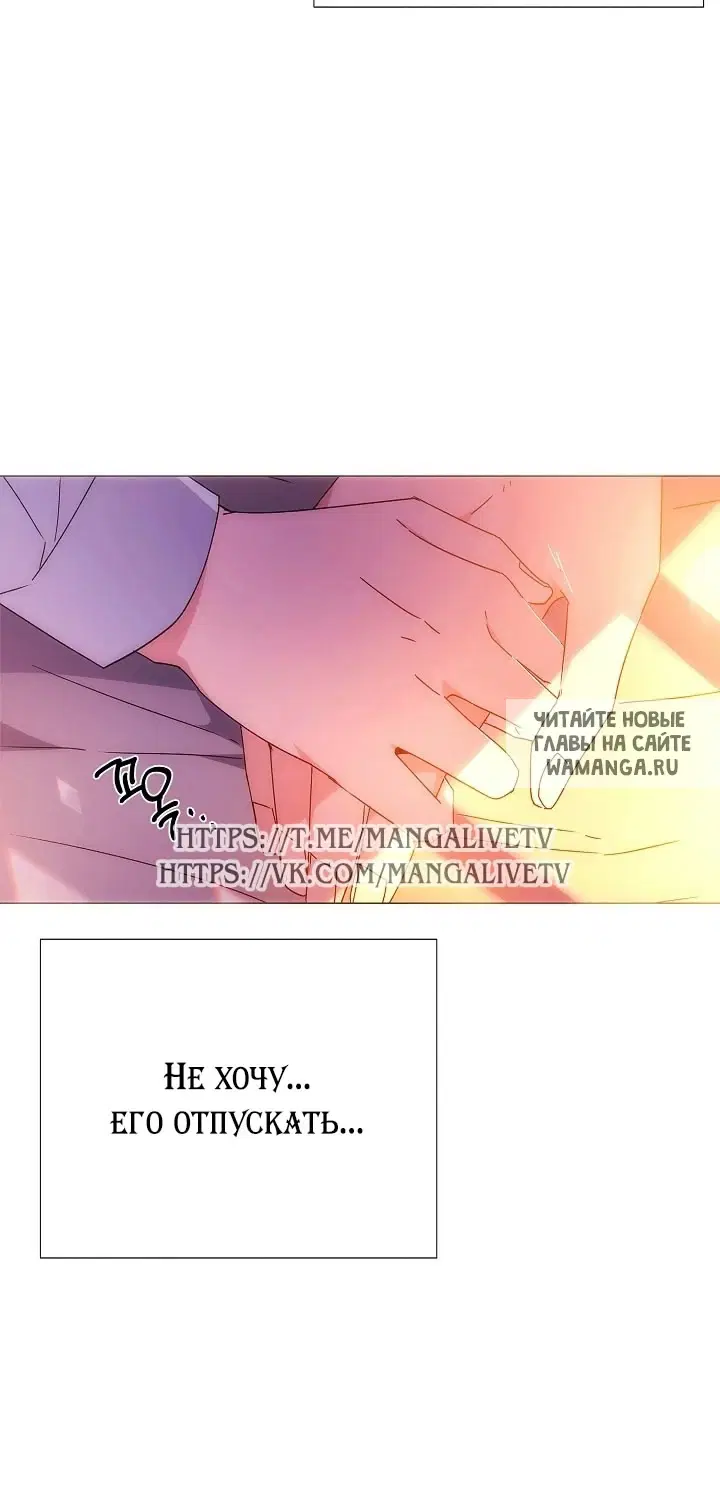 Page 51.000