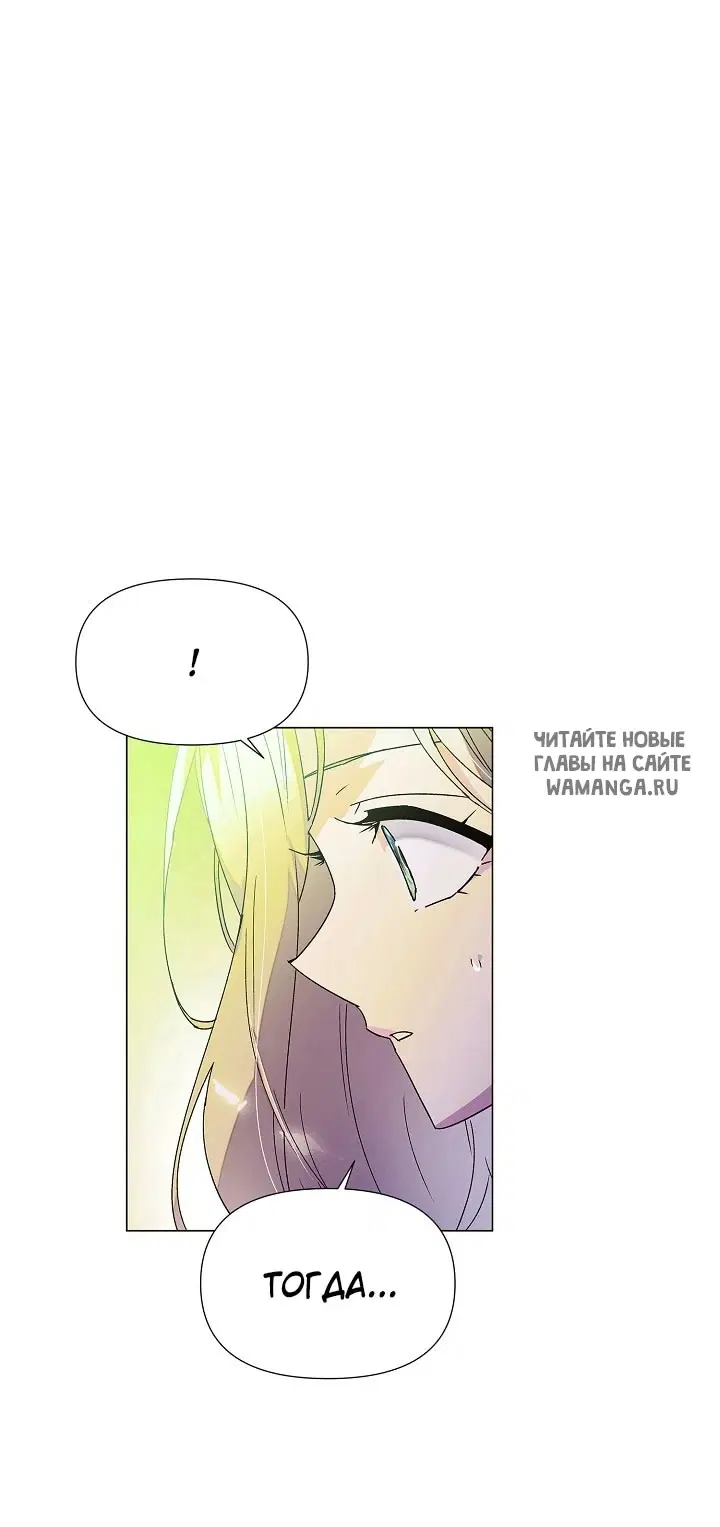 Page 51.000