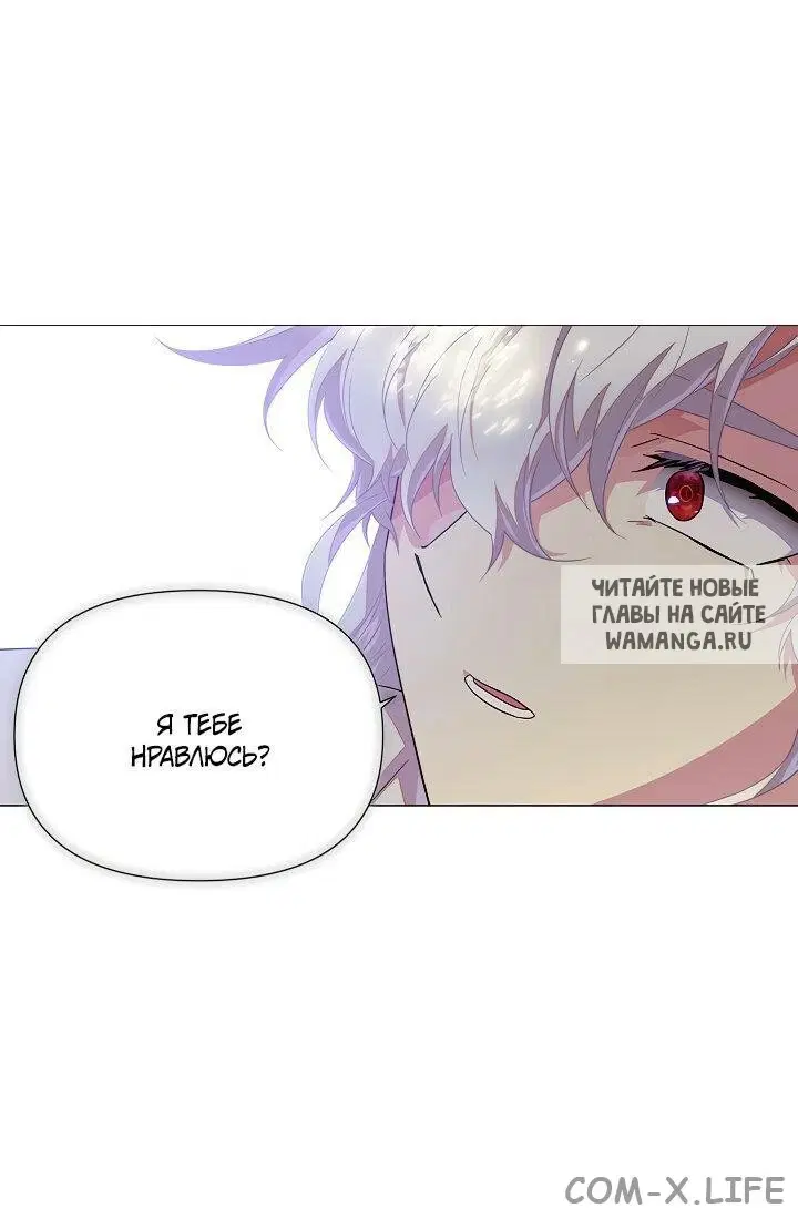 Page 51.000