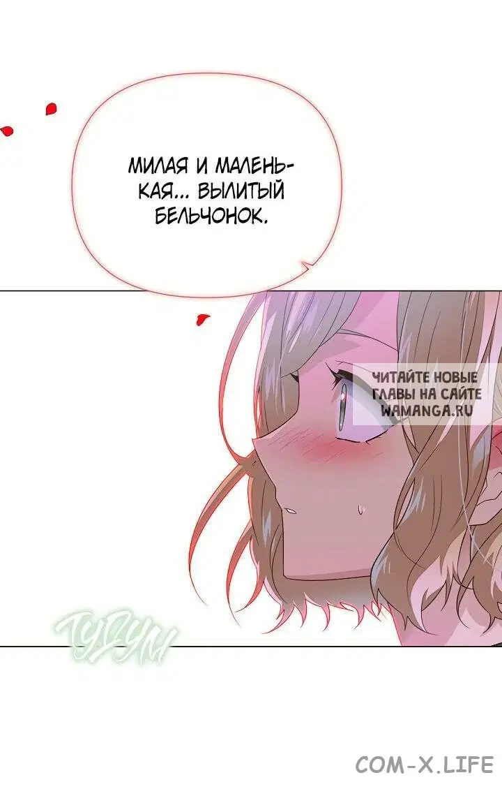 Page 51.000