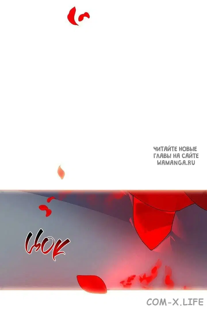 Page 51.000