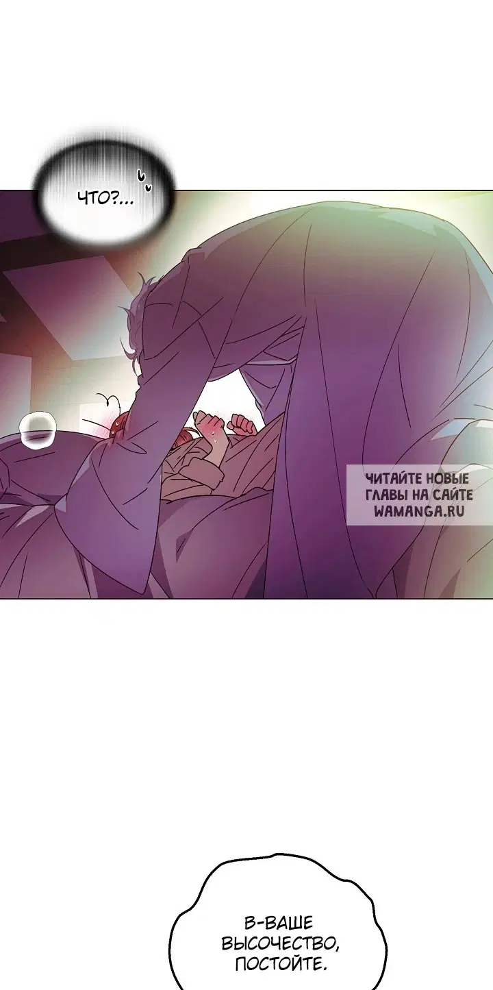Page 51.000