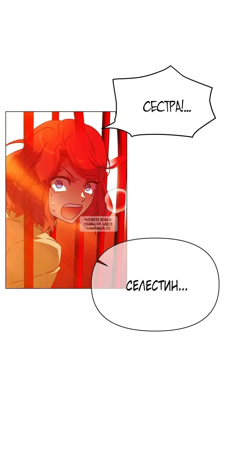 Page 51.000