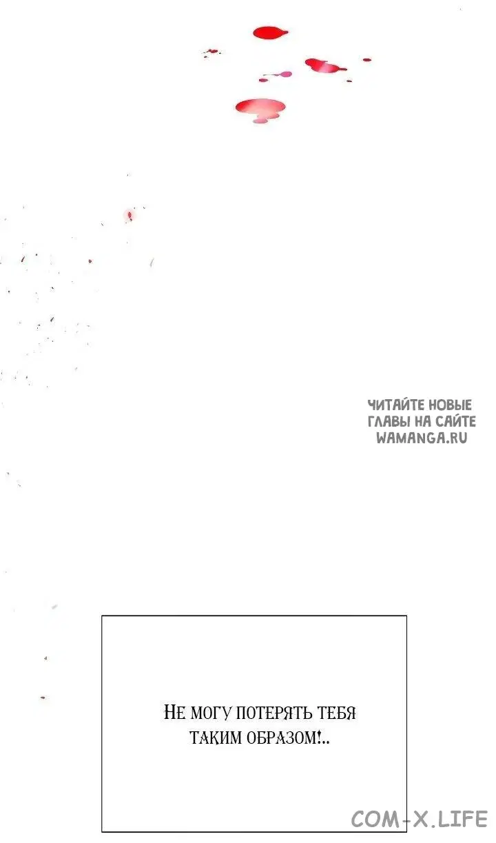 Page 53.000