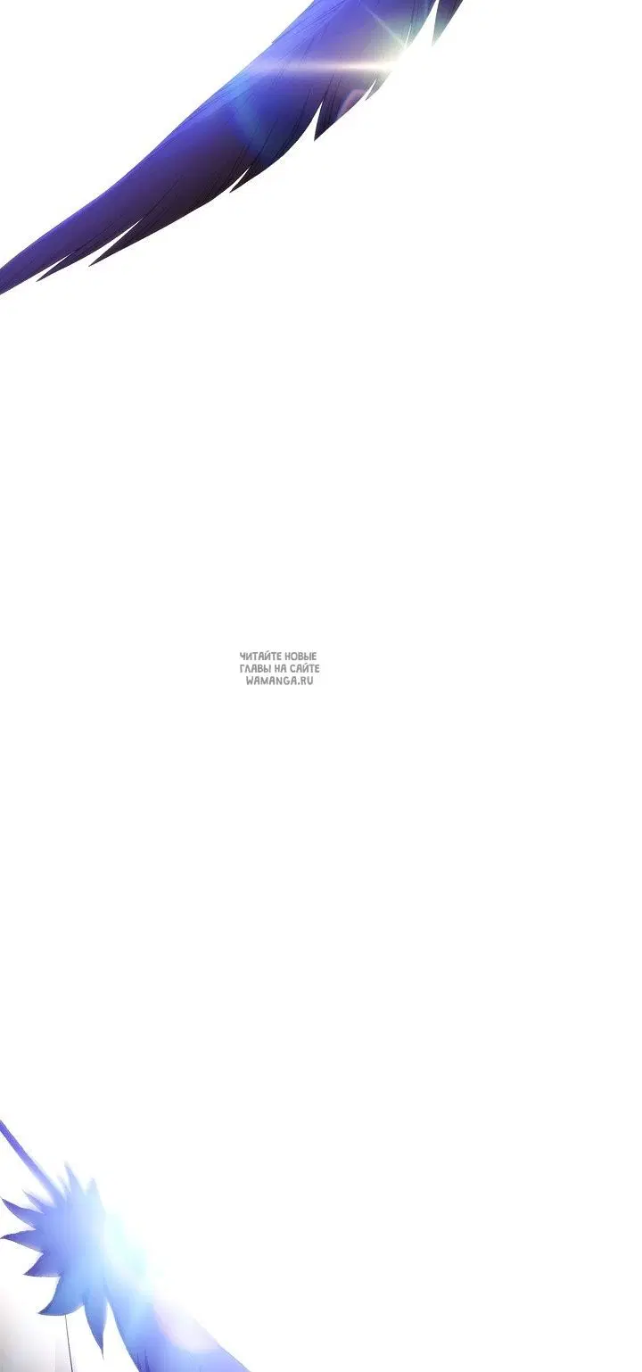 Page 64.000