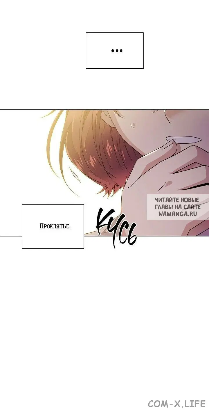 Page 61.000