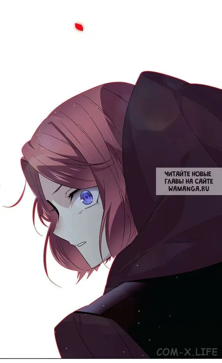 Page 61.000