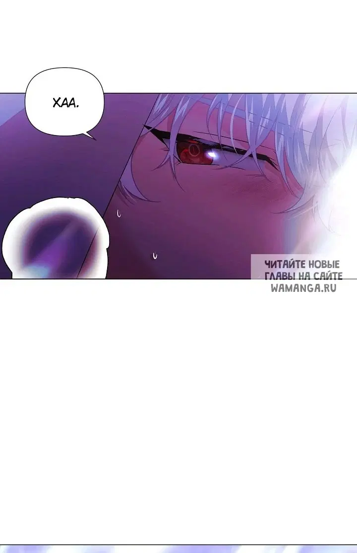 Page 61.000