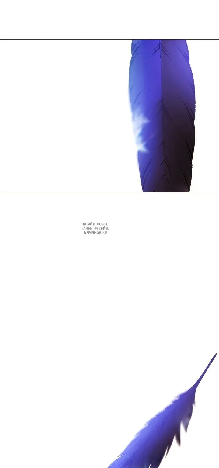 Page 63.000