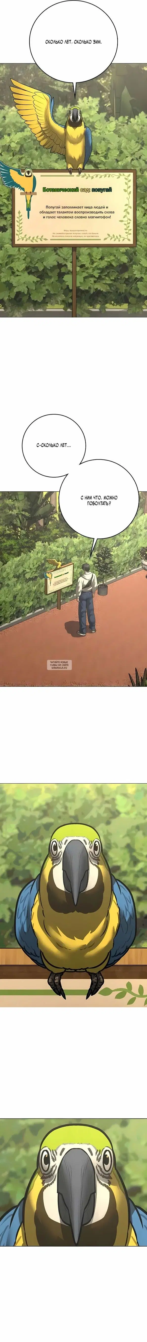 Page 13.000