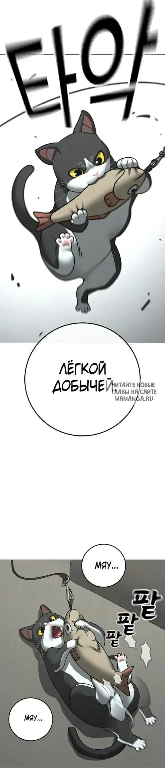 Page 28.000