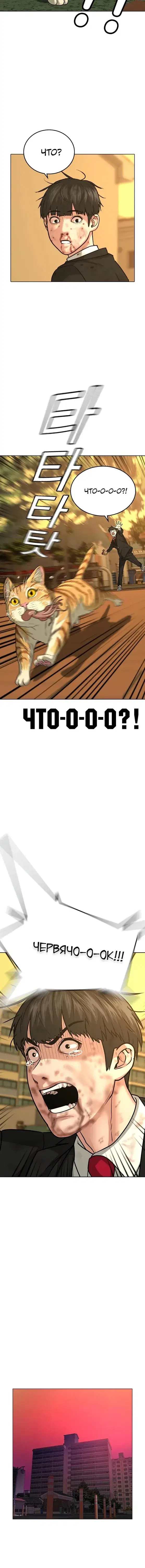Page 3.001