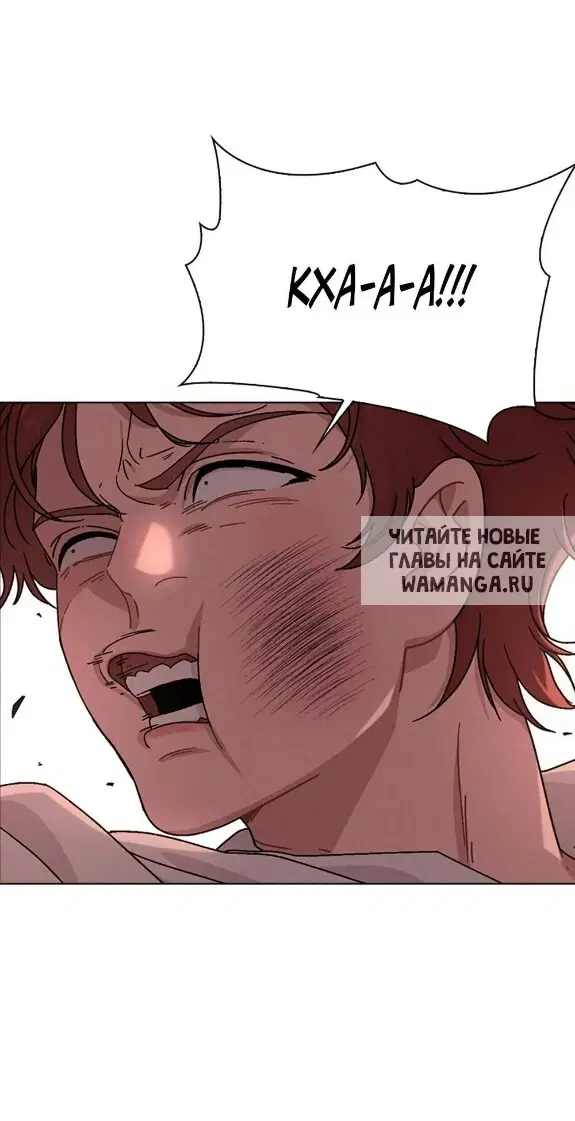 Page 41.000