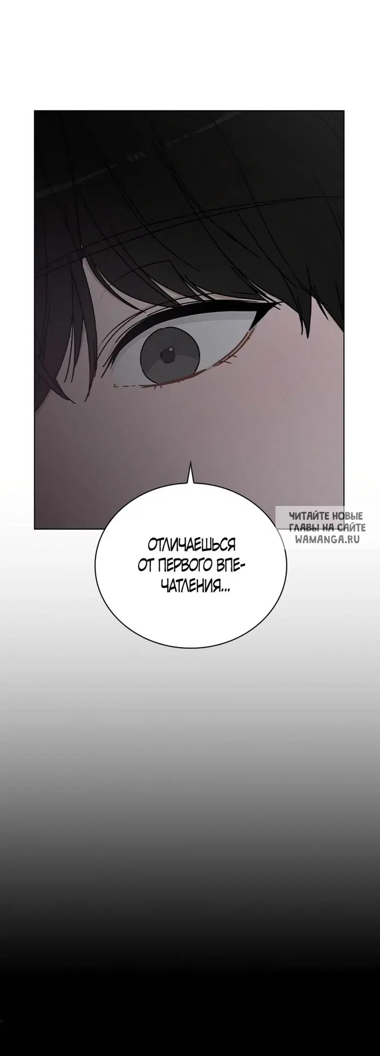 Page 41.000