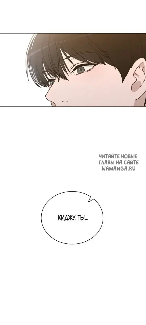Page 41.000