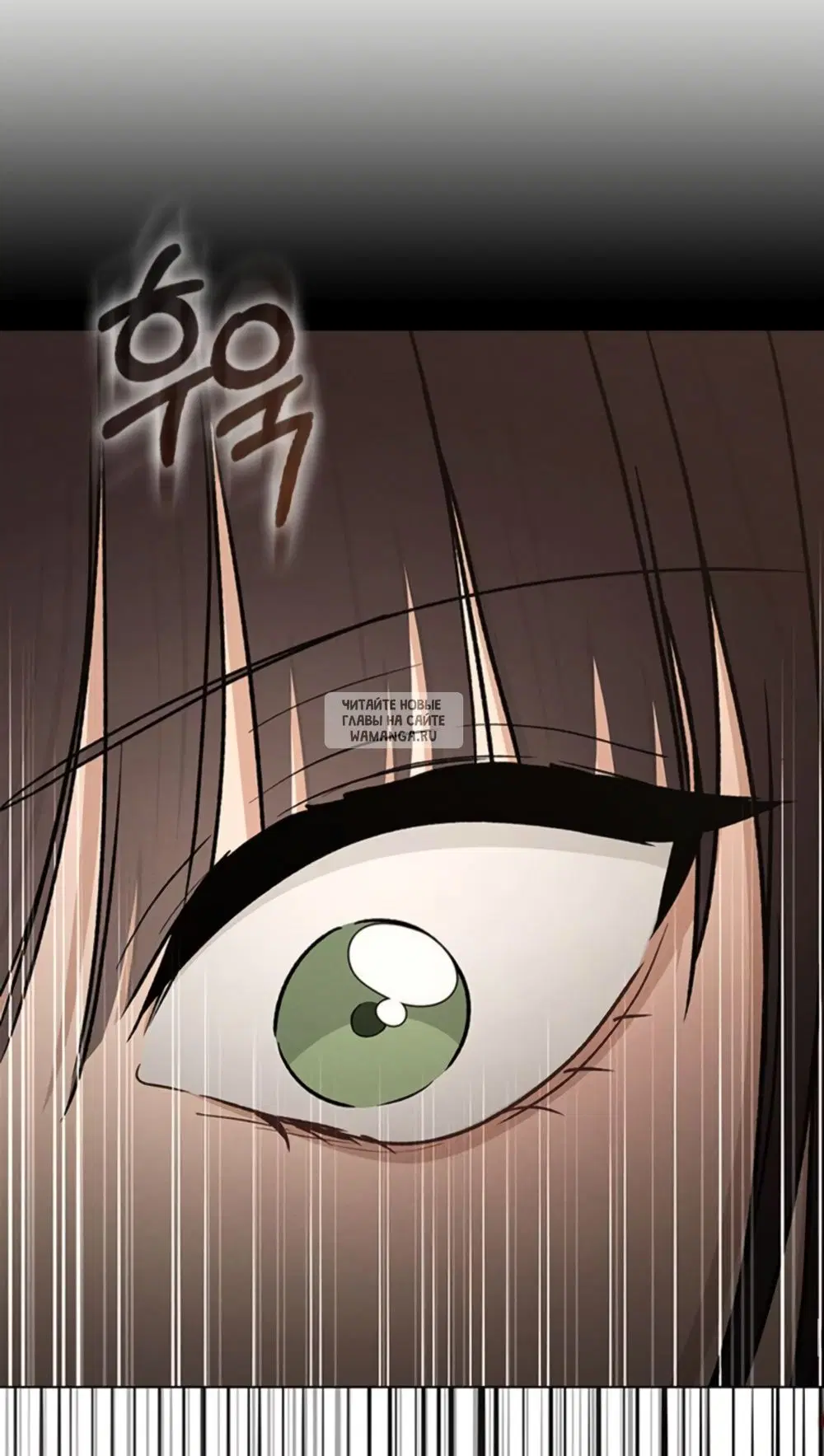 Page 51.000
