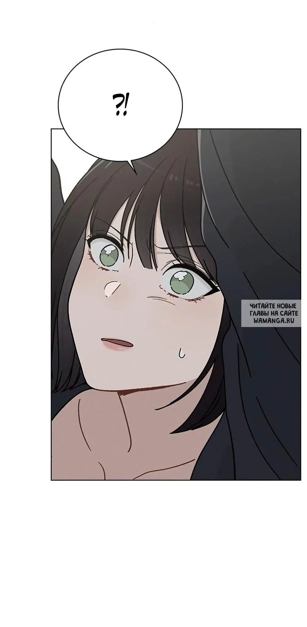 Page 53.000
