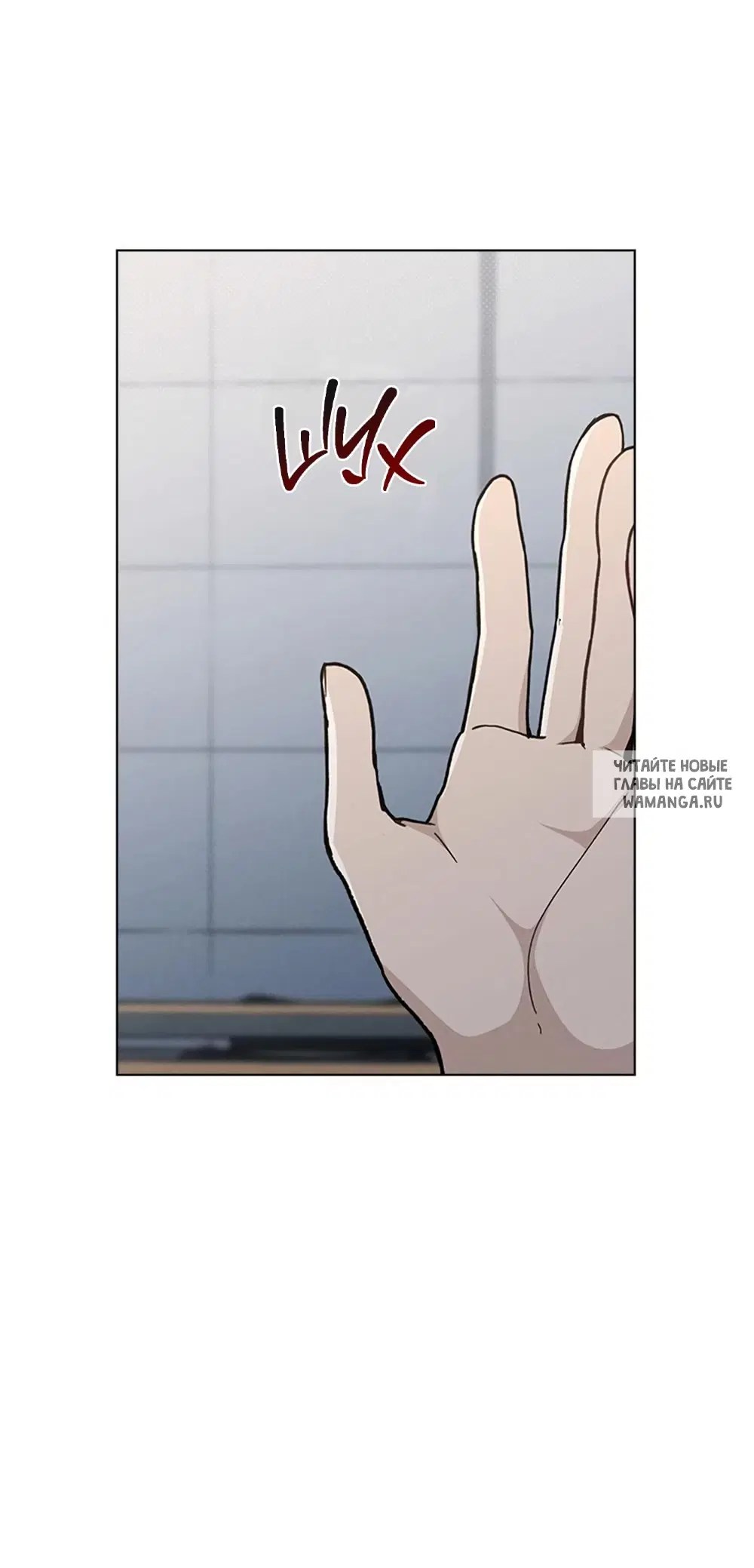 Page 81.000