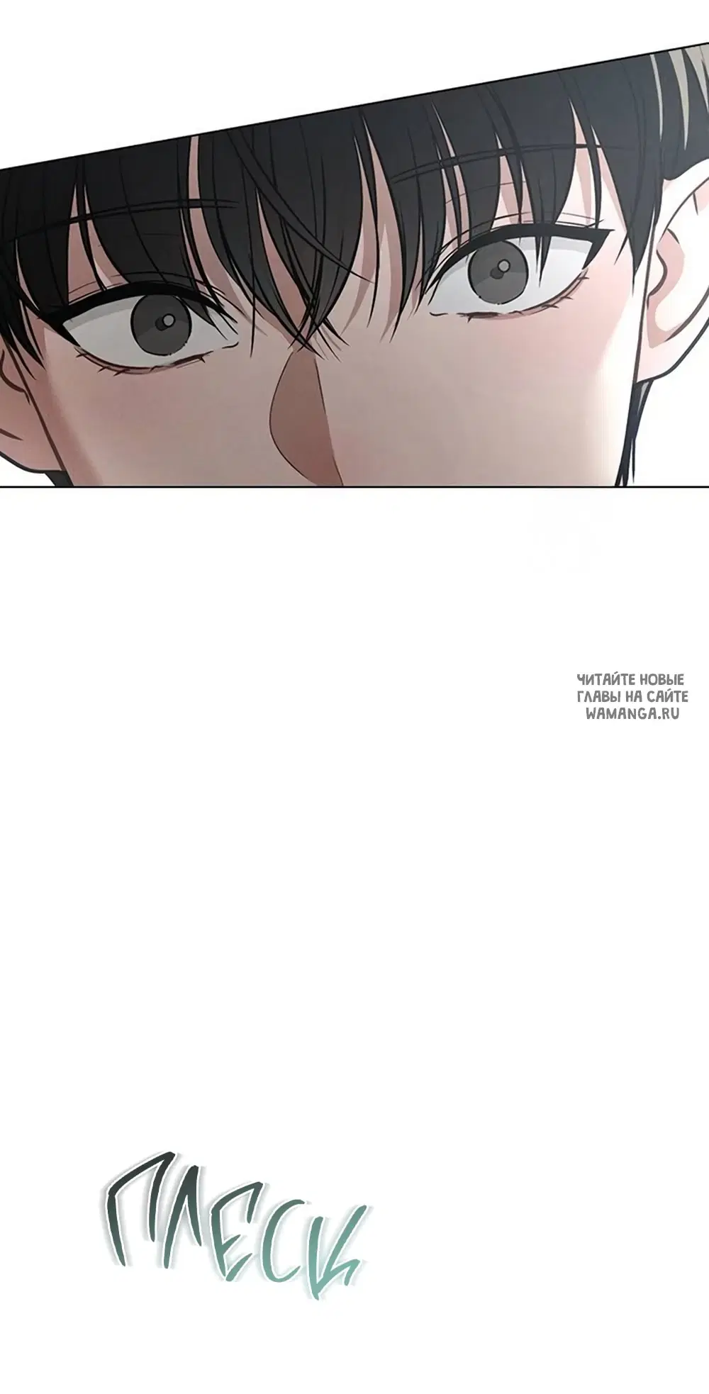Page 81.000